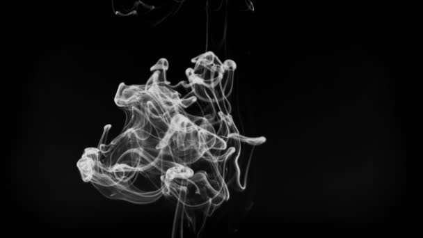 Стрельба дымчатыми облаками, растворяющимися в воде — стоковое видео
