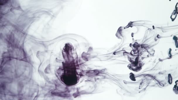 Tir de peinture violette se dissolvant dans le liquide — Video