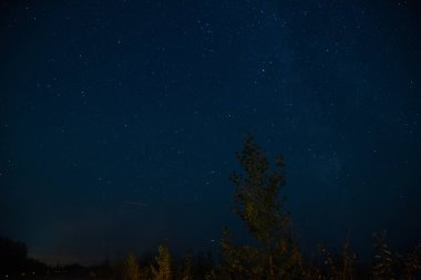 Yıldızlı ve ağaçlı gece mavisi gökyüzünün fotoğrafı.