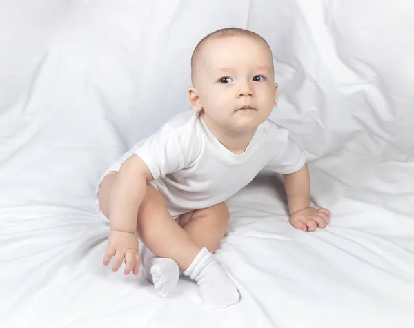 Photo of seven month old little boy — Stock Photo, Image