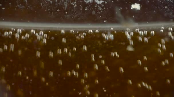 Видеозапись процесса ферментации с пузырьками — стоковое видео