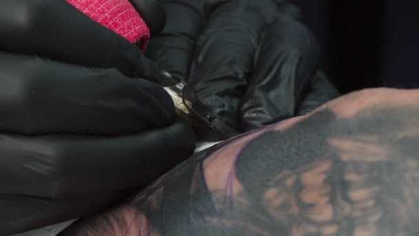 Tir de maître se faire tatouer dans le salon — Video