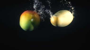 Suya düşen Vietnamlı mangosu.