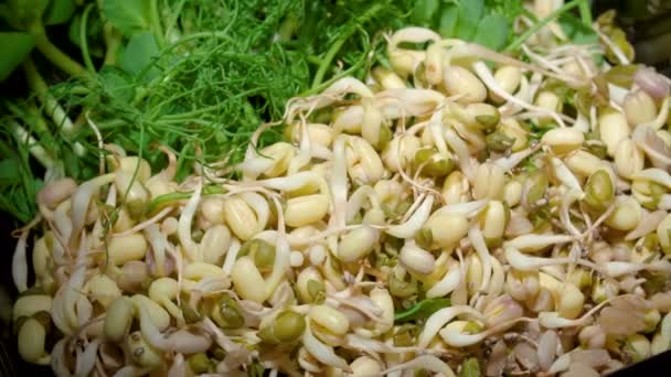Nahaufnahme eines rotierenden Tellers mit gekeimten Samen aus Erbse, Bohne und Mungo — Stockvideo