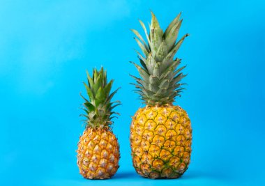 Mavi arkaplanda iki olgun taze ananas resmi