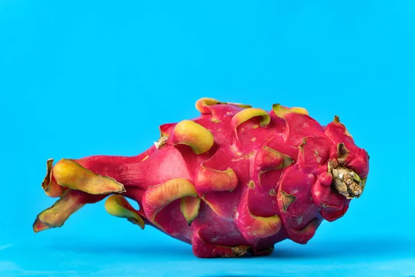 Foto de fruta fresca madura del dragón sobre fondo azul —  Fotos de Stock