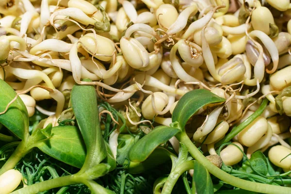 Крупный план зеленых семян гороха, бобов, мунга, подсолнечника — стоковое фото