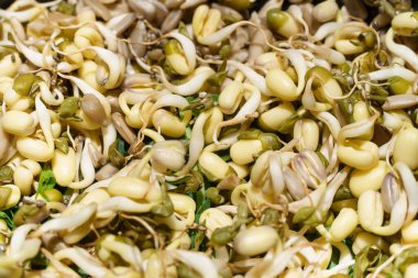 Bezelye, fasulye, mung, güneş tohumu tohumlarının yakın plan fotoğrafı.