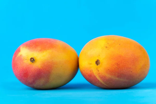 青の背景に2つの熟した新鮮なマンゴーのイメージ — ストック写真
