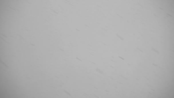 Видео падает снег в сумерках на сером фоне — стоковое видео