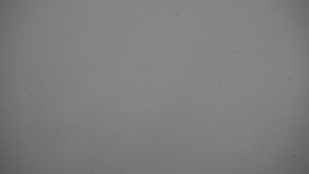 暮色中灰蒙蒙的降雪录像 — 图库视频影像