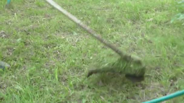 Disparos de hombre siega hierba en el patio trasero en el verano — Vídeo de stock