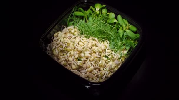 Placa giratória com sementes germinadas de ervilha, feijão, mungue — Vídeo de Stock