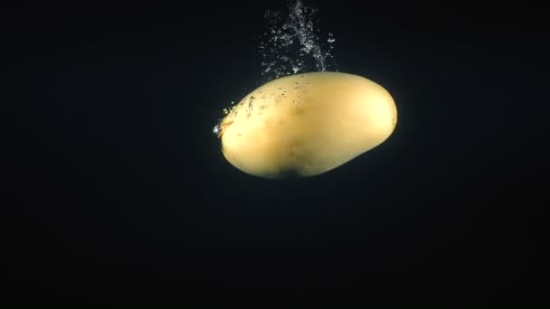 Video di caduta del mango vietnamita in acqua su sfondo nero — Video Stock