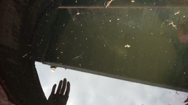 Disparo de agua sucia en barril oxidado en el pueblo — Vídeos de Stock