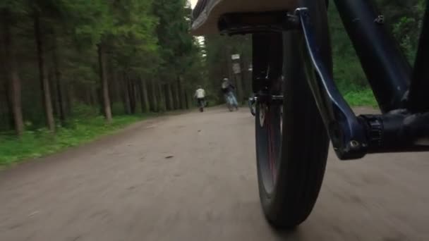Imágenes de la bicicleta en movimiento en la carretera en el bosque de verano — Vídeo de stock