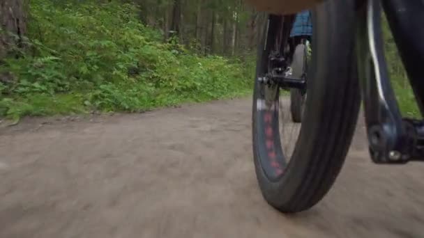 Σκοποβολή κινούμενου ποδηλάτου στο δρόμο στο πάρκο του καλοκαιριού — Αρχείο Βίντεο
