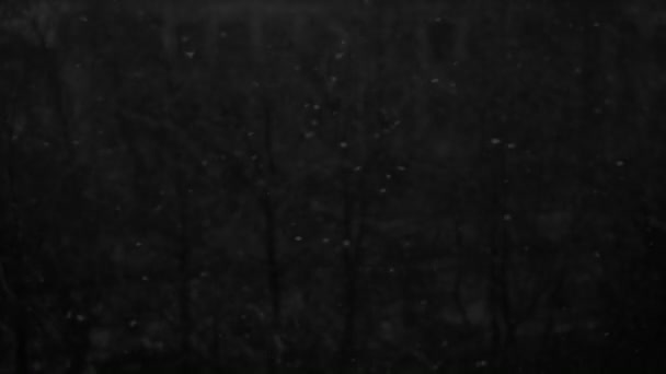 Video von fallendem Schnee in der Dämmerung auf schwarzem Hintergrund — Stockvideo