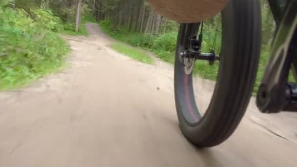 Movendo bicicleta na estrada no parque de verão — Vídeo de Stock