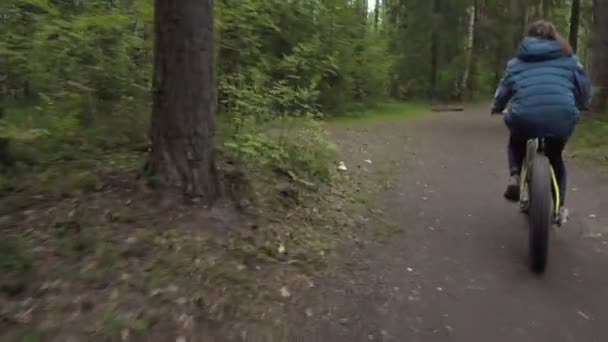 Wideo roweru na drodze w lesie letnim — Wideo stockowe