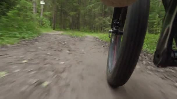 Fotografowanie ruchomego roweru na drodze w parku letnim — Wideo stockowe