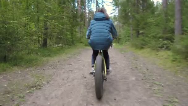 Filmagem de bicicleta na estrada na floresta de verão — Vídeo de Stock