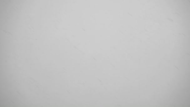Снег в сумерках на сером фоне — стоковое видео