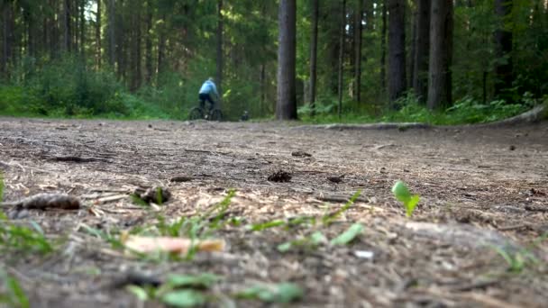 Nagranie rozproszonych rowerzystów w lesie — Wideo stockowe