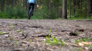 Ormanda tekerleklerle hareket halindeki motosikletleri vurmak