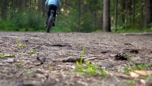 Ormanda tekerleklerle hareket halindeki motosikletleri vurmak — Stok video