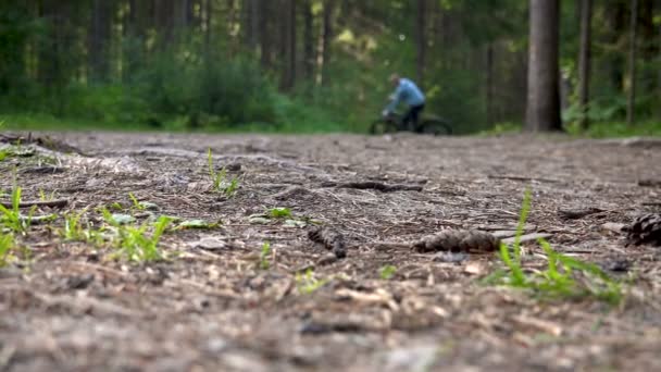 Wideo z poruszającymi się rowerami z grubymi oponami w lesie — Wideo stockowe