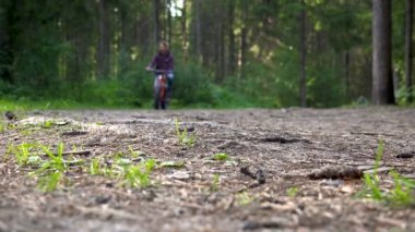 Ormanda hareket halindeki bisikletlerin görüntüleri