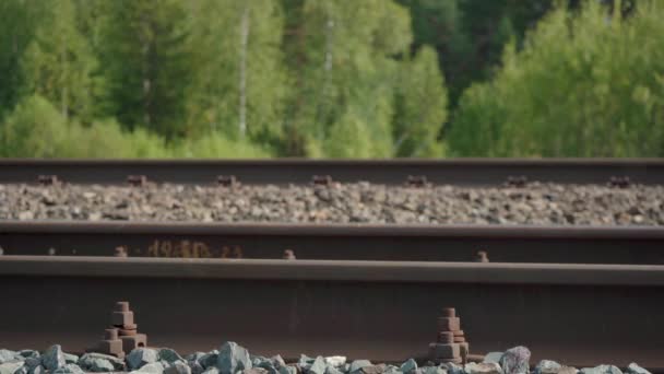 Видео с женщиной, идущей по железной дороге летом — стоковое видео