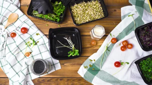 Mulher em luvas pretas cozinhar salada com micro verde e sementes — Vídeo de Stock