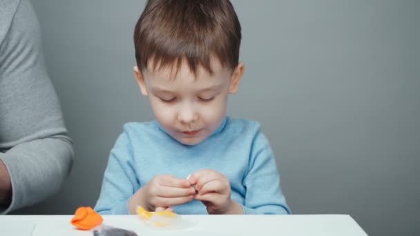 Footage of dad and son sculpting animals from plasticine — Stock Video