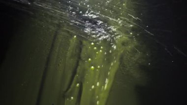 Damlayan boya görüntüsü Renkli damlalar