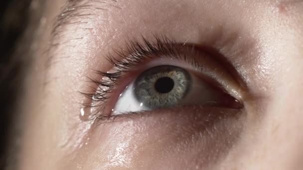 Zbliżenie fotografowanie dziewczyna z łzy w szare oczy — Wideo stockowe
