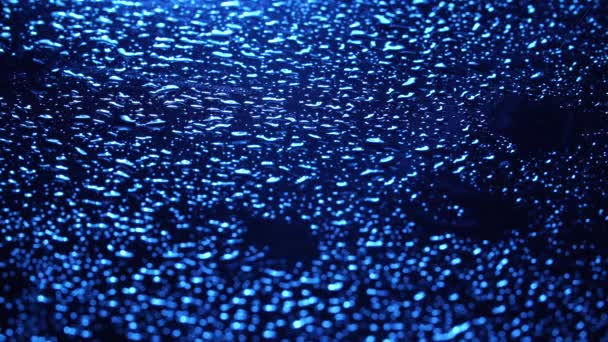 Video di gocce piovose su sfondo blu scuro — Video Stock