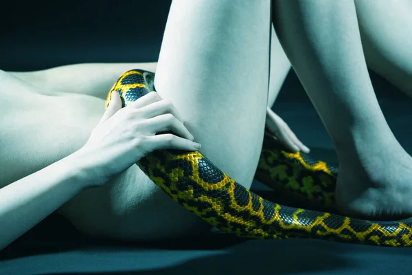 Shot of lying naked girl with yellow anakonda on her hips — Stock Photo, Image
