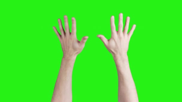 Video de manos masculinas mostrando los dedos medios sobre fondo verde — Vídeos de Stock