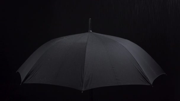 Video of umbrella and rainy drops on black background — Stock Video