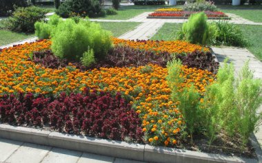 sergi topraklarında güzel çiçek tarhı