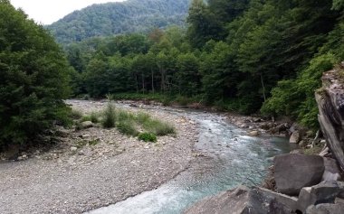 güzel orman ve dağ nehri