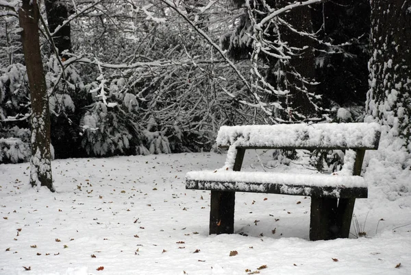 Bänk Parken Gränden Täckt Med Snö Början Vintern — Stockfoto