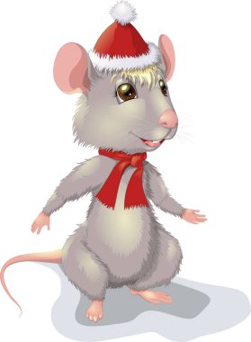 Noel 'de gülümseyen sıçan kışın kırmızı şapka ve kırmızı atkı v