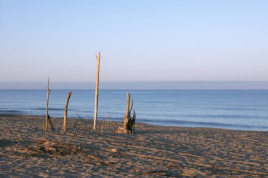 Sahildeki sopalardan bir heykel, kumsaldaki dallardan bir yapı, kuma saplanmış tahta çubuklar. Deniz kıyısında kara sanatı, sabah güneşinde deniz manzarası, Toskana İtalya. 