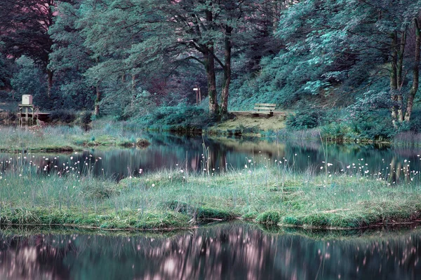 Magische Türkisfarbene Seenlandschaft Mit Schwimmender Torfinsel Bank Ufer Stimmungsvolle Romantische — Stockfoto