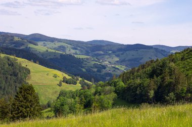 Yaz dağları manzarası, Kara Orman dağları ve vadi manzarası. Bahar tepeleri, tarlalar, çayırlar ve ormanlar. Schwarzwald Panorama, yuvarlanan manzara. Almanya