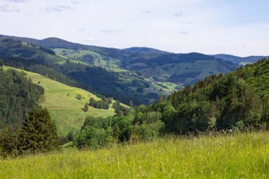 Yeşil tepeler, dağlar ve vadi manzarası. Kara Orman Dağları, bahar zamanı. Tepeler, tarlalar, çayırlar ve orman. Schwarzwald Panorama, yuvarlanan manzara. Almanya