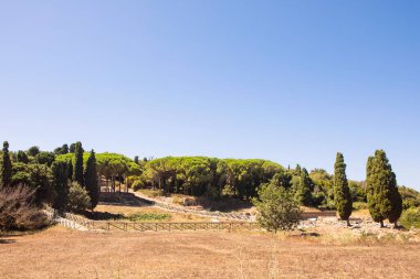 Antik etrüsk mezarlığı, Populonia nekropolü, çam ağaçları ve arkeoloji sahaları olan İtalyan kıyıları. Piombino Yarımadası, İtalya.